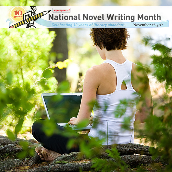 Write On! National Novel Writing Month & Writing Tips