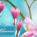 HeartBlooms: Embrace the Journey...